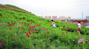 ����������� ���ɽ������