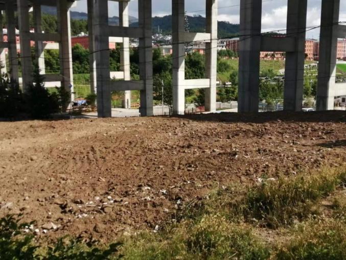 ŭ������ƺ�أ��ϲ��ҵ�����������ȷ��������������