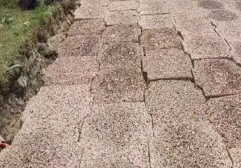 ɽƹӦýƷȷӦԵĿ嵥