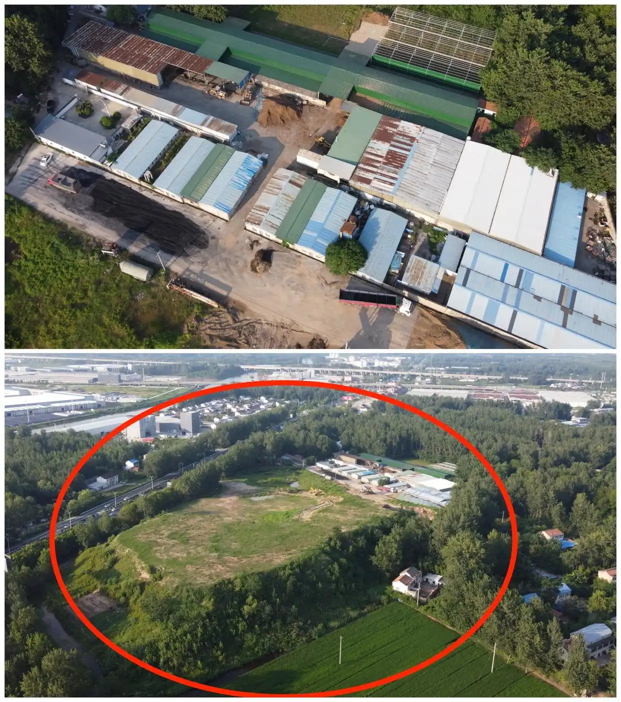 “毒营养土”暗访调查丨固废处置资质被滥用,营养土检出重金属超标