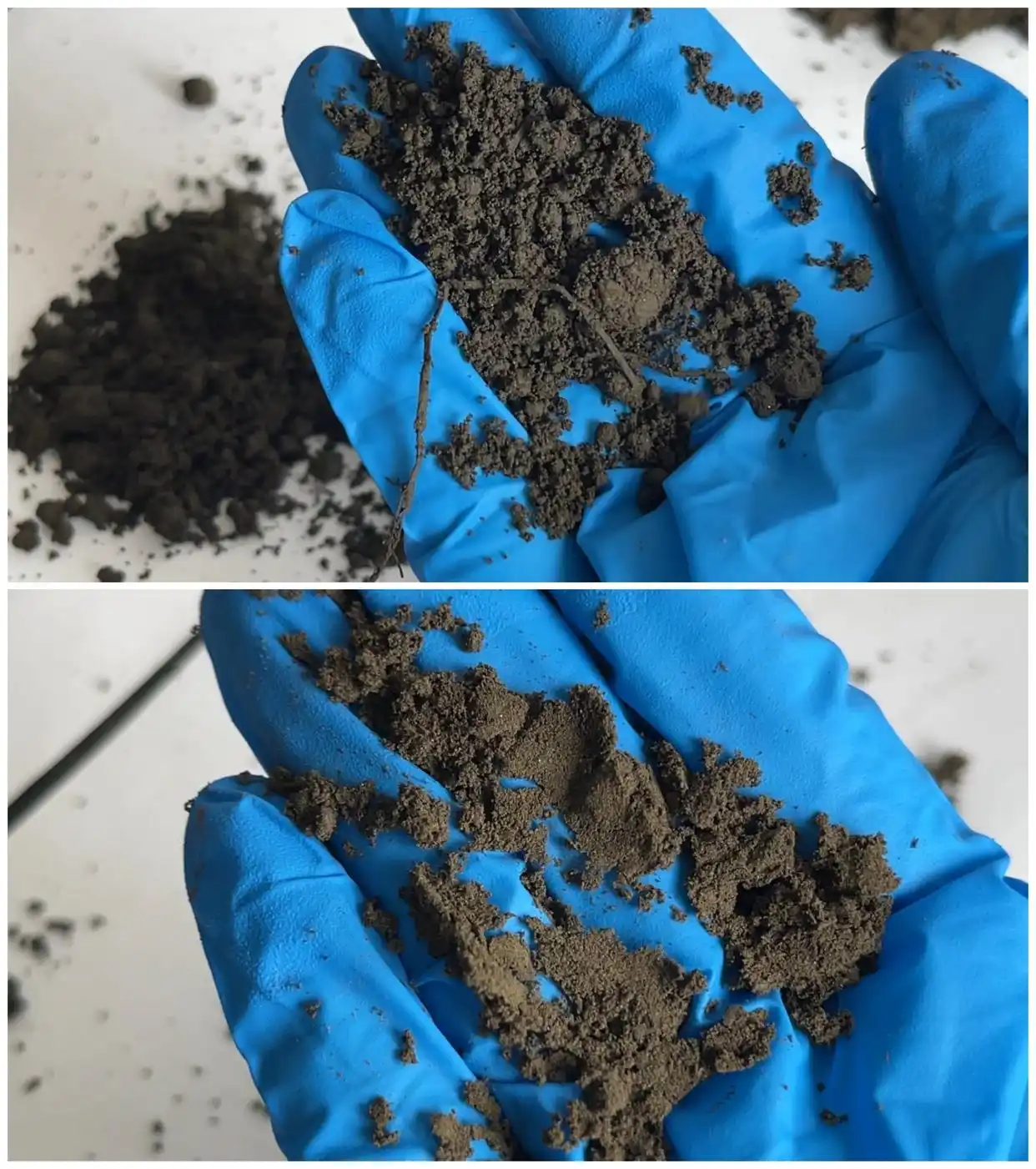 “毒营养土”暗访调查丨固废处置资质被滥用,营养土检出重金属超标