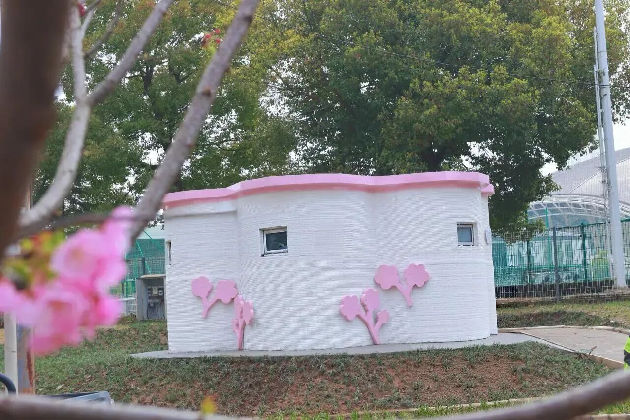 ��������������3D��ӡ���������人