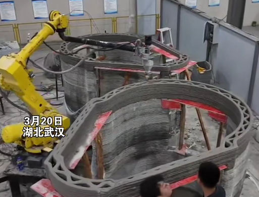 ��������������3D��ӡ���������人